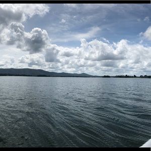 Meet your Posher, Sasha